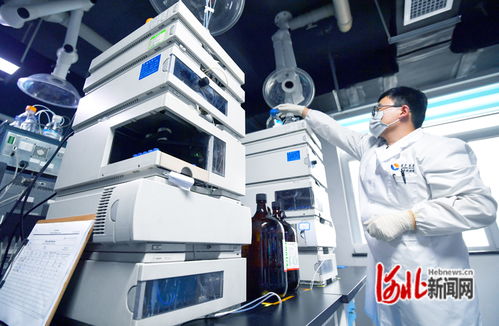 一天不創(chuàng)新,就會(huì)落后 石家莊市深化改革激發(fā)科技創(chuàng)新活力一線見(jiàn)聞