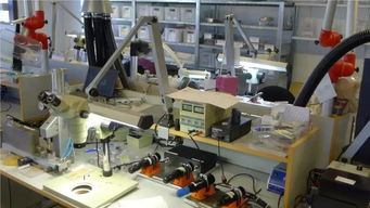 探訪dpa丹麥工廠,發(fā)現(xiàn)core技術(shù)3毫米話筒頭的研發(fā)過(guò)程