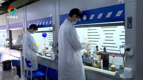 筑巢引鳳 荷城這個產(chǎn)業(yè)平臺打造科技創(chuàng)新 新引擎