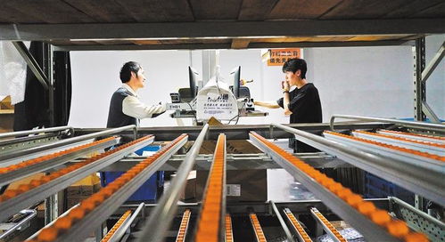 創新活力足 上海市普陀區掠影 科技研發驅動區域高質量發展